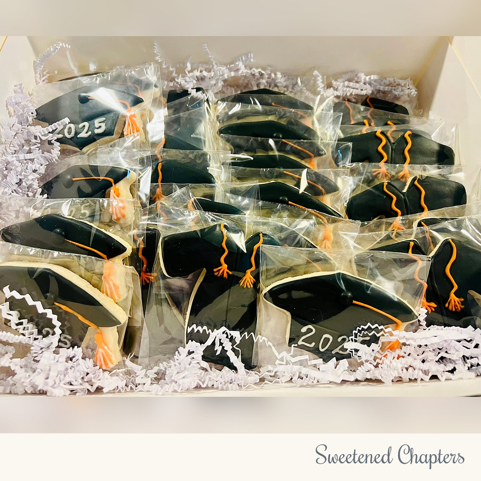 GradTheme_CapGown by Sweetened Chapters